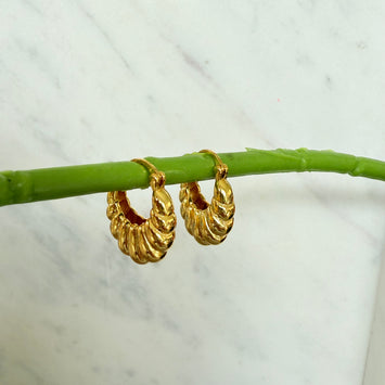 Oval earrings