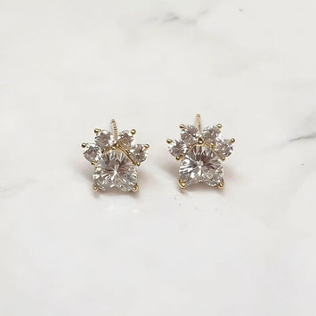 Paw Sparkle Earrings