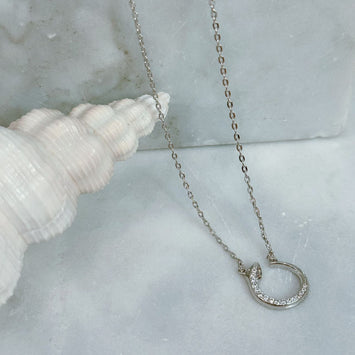 Sliver snake necklace