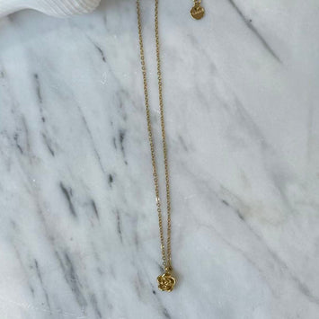 Stainless Steel Rose Charm Necklace