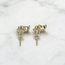 Paw Sparkle Earrings