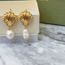 Shell with hanging pearl earrings
