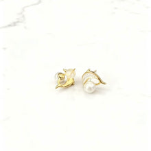 Shell dolphin with pearl earrings