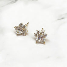 Paw Sparkle Earrings