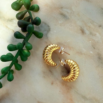 Golden twist earrings