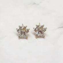 Paw Sparkle Earrings