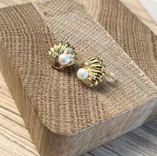 Shell with pearl earrings