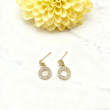 Stone with hanging circle earrings